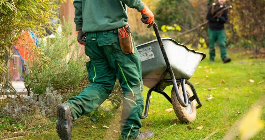 fraem-gmbh-LVJnIiIeyO0-unsplash fraem-gmbh-LVJnIiIeyO0-unsplash