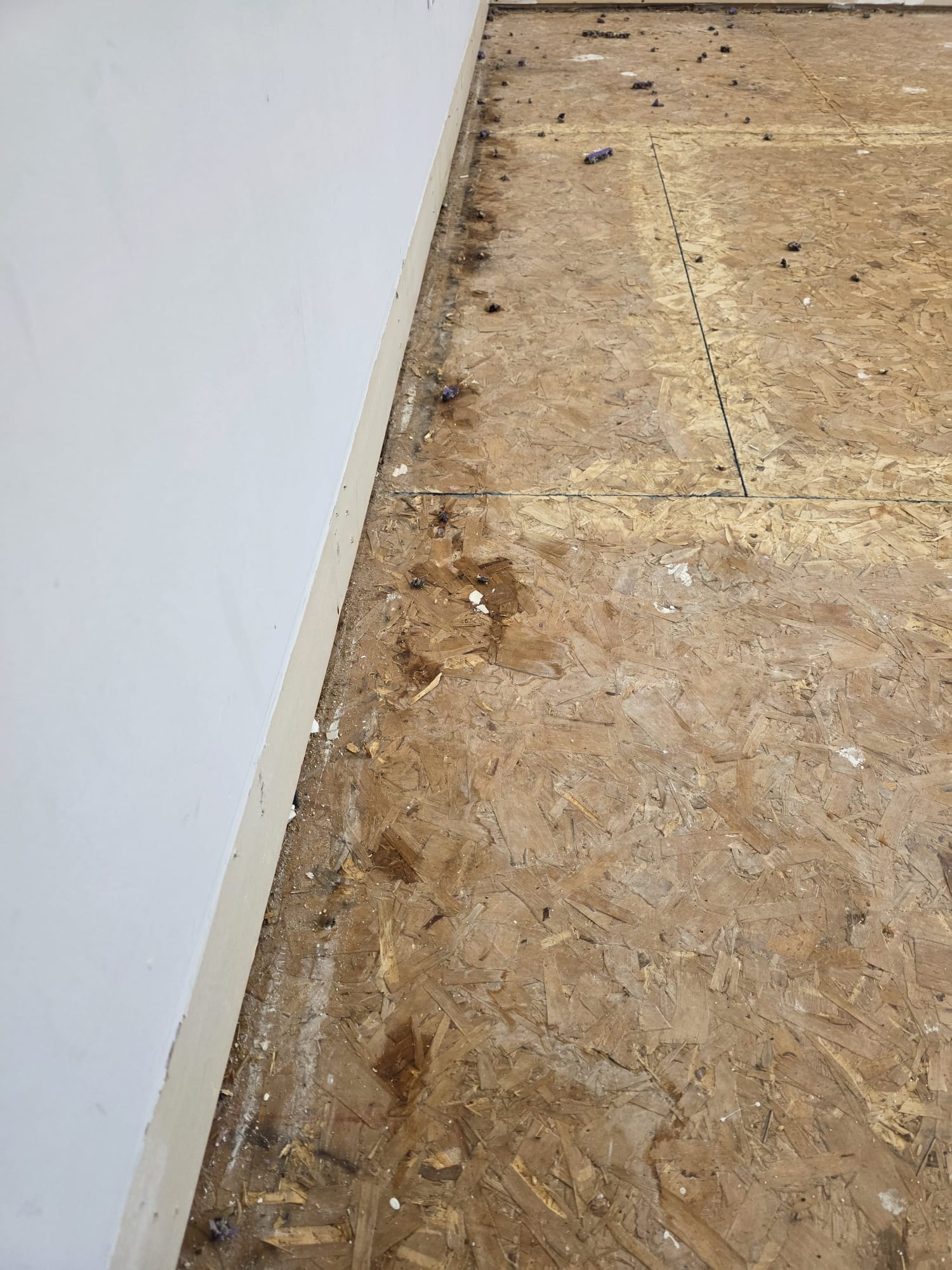 Mid-project view showing progress of new vinyl plank floor fitting.